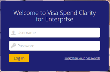 Visa_Spend_Clarity.png